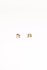 Honey Earrings - Gold
