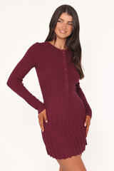 Darlina Long Sleeve Mini Dress - Burgundy