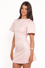 Marlene Mini Dress - Pink Rose Brocade