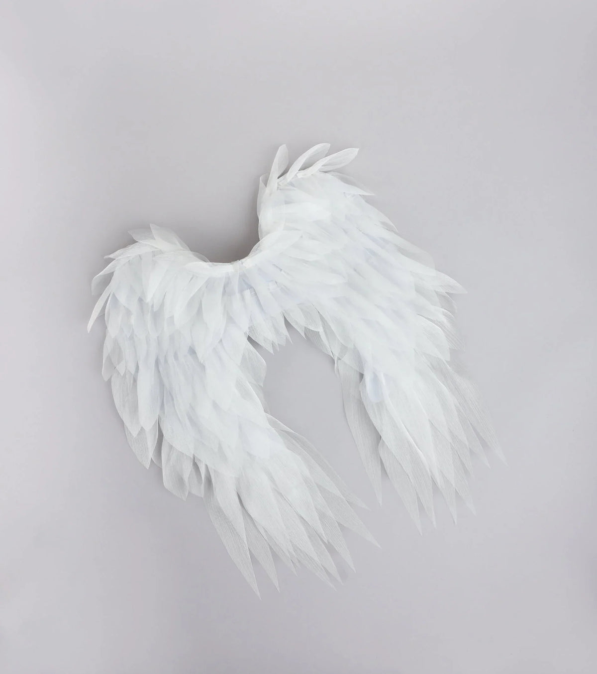 Heaven Sent Angel Wings